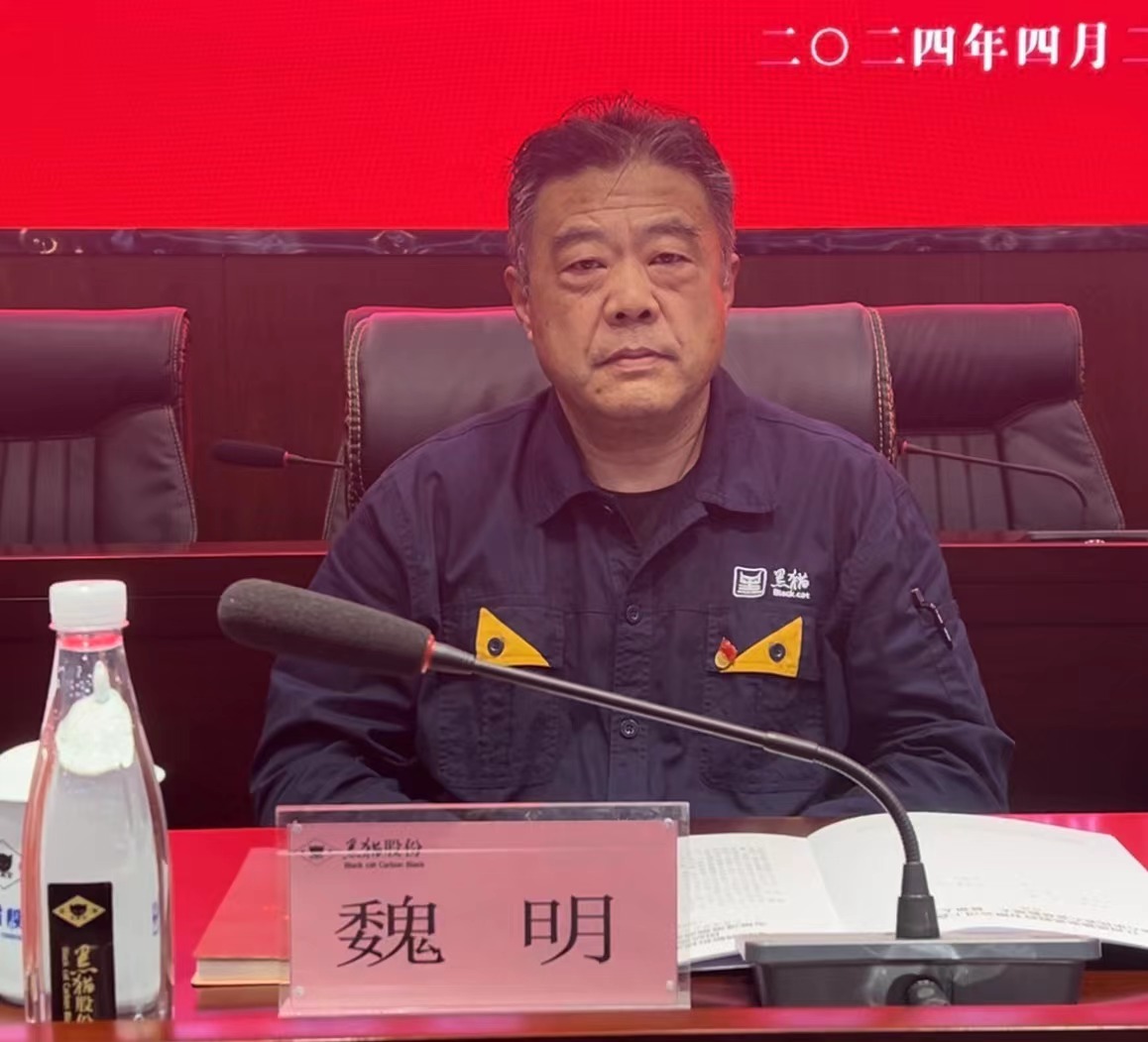 4 黑貓股份黨委副書記、董事長(zhǎng)魏明出席會(huì)議.jpg